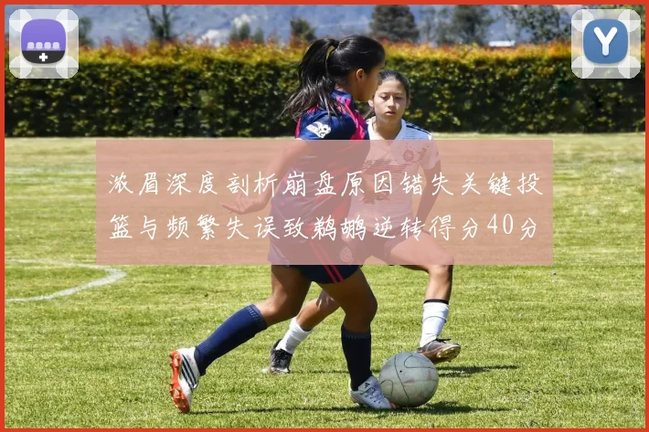 浓眉深度剖析崩盘原因错失关键投篮与频繁失误致鹈鹕逆转得分40分