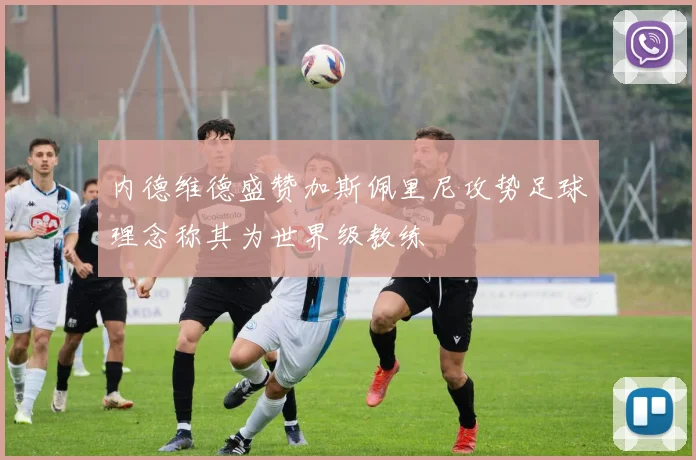 内德维德盛赞加斯佩里尼攻势足球理念称其为世界级教练